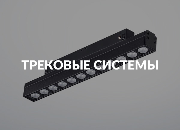 Трековые системы