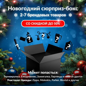 Новогодний сюрприз-бокс NOVOTECH 1